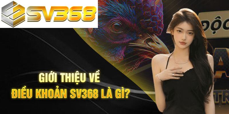 Tìm hiểu chung về các điều khoản điều kiện SV368