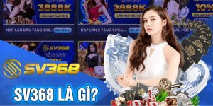 Sơ lược SV368 là gì?