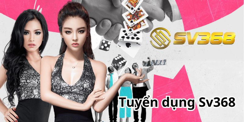 Điều kiện khi tham gia tuyển dụng SV368 là gì?